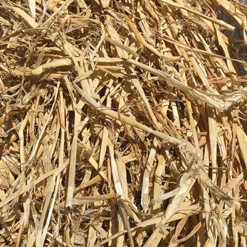 Pea Straw Farmfeed.co.nz